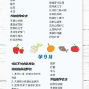 怀孕期间怎么吃饭,孕期营养餐食谱