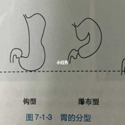胎儿胃泡大孩子能要吗（1.孕32周，胎方位臀部，胃泡位于左侧）