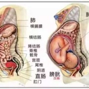 孕妇撞到肚子怎么办,胎儿头部受到撞击