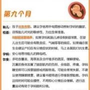 孕期头三个月（孕期头三个月注意事项）