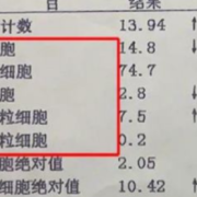 孕期白细胞偏高怎么办（孕期白细胞偏高怎么办呢）