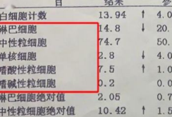 孕期白细胞偏高怎么办（孕期白细胞偏高怎么办呢）