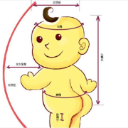 fl是胎儿的什么意思（hl是胎儿的什么意思）