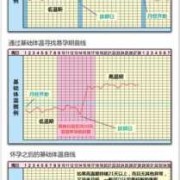 备孕期间体温变化（备孕期间体温变化图）