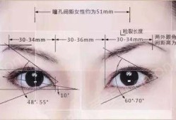 胎儿眼距标准（胎儿眼距标准对照表）