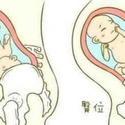 胎儿打嗝是什么样的（胎儿打嗝是什么样的感觉）