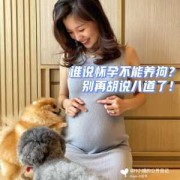 怀孕期间可以养狗吗（怀孕期间可以养狗吗?对胎儿有什么影响呢?）