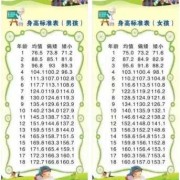 胎儿能长高（胎儿长高的关键期）