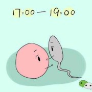 易孕期同房（易孕期同房会怀孕吗）