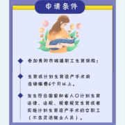 怀孕辞职医保怎么办,怀孕期间辞职了还能领生育津贴吗