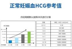孕期hcg值的变化曲线图有些什么规律呢？请各位分享一下经验,孕期血hcg正常值参考范围