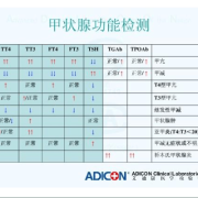 孕期甲状腺检查多少钱（甲状腺功能检查费用是多少）