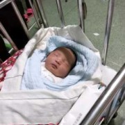 孩子38周出生正常吗？38周出生的胎儿属于早产儿吗,胎儿38周图片高清