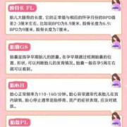 看懂孕期B超（怀孕多少周可以照b超，怀孕30天b超能查出来吗）