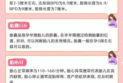 看懂孕期B超（怀孕多少周可以照b超，怀孕30天b超能查出来吗）