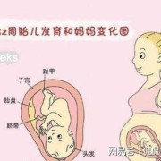 怀孕32周胎儿多重（怀孕32周胎儿多重算正常）
