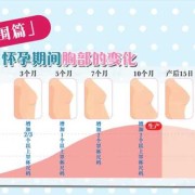 怀孕期间乳房有什么变化（乳房变软是不是怀孕了？怀孕初期身体会有哪些变化）