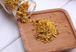 弱弱的问下，孕妇能闻桂花味吗,孕期可以闻桂花吗?