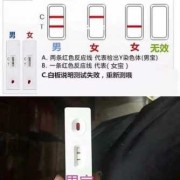 胎儿性别试纸（胎儿性别试纸准确吗）