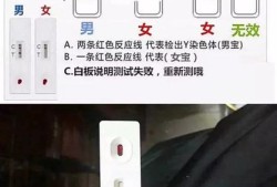 胎儿性别试纸（胎儿性别试纸准确吗）