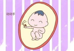 孕妇侧躺胎儿胎动活跃（孕妇侧躺胎儿胎动活跃正常吗）