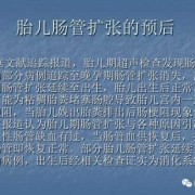 胎儿肠管扩张是什么原因造成的（怀孕28周胎儿腹部肠管回声增强是怎么回事）