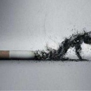 备孕期间男方抽烟（备孕期间男方抽烟有什么影响）