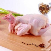 孕期可以吃鸡肉吗（初期怀孕可以吃公鸡肉吗）