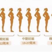 怀孕肚子小是不是胎儿就小（怀孕多久有肚子明显出来）