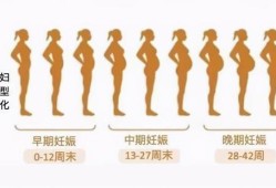 怀孕肚子小是不是胎儿就小（怀孕多久有肚子明显出来）