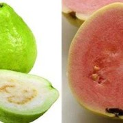 孕妇能吃番石榴吗,孕期吃芭乐的好处