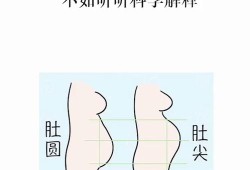 怎么看肚子尖尖还是圆圆,孕期尖肚子和圆肚子有什么区别