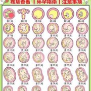 宝宝坐着转圈圈说明什么,胎儿坐着图片