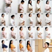 孕期双胞胎肚子变化图（孕期双胞胎肚子变化图片）