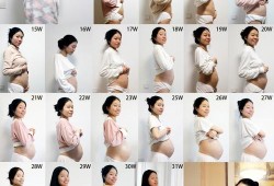 孕期双胞胎肚子变化图（孕期双胞胎肚子变化图片）