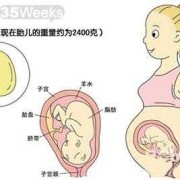 孕35周胎儿6斤正常吗（孕35周胎儿6斤正常吗,肚子多大）