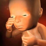 怀孕二十七周胎儿多大（如果在怀孕27周的时候胎儿就出生了，那成活率是多少）