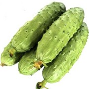 孕期梦见摘黄瓜（两根黄瓜是什么意思）