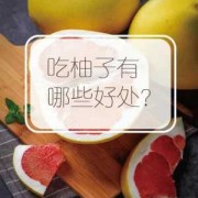 孕期能吃柚子吗（孕妇可以吃柚子吗。一天吃多少比较好）