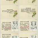 胎儿触诊（胎儿触诊四步手法）