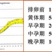 孕期孕酮变化曲线图（孕期孕酮变化曲线图）