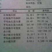 孕期血检单（孕期血检单核细胞计数偏高）