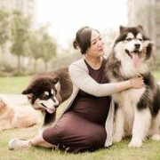 孕期如何养狗（家里有孕妇，可以养狗吗）