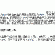 胎儿XXY（胎儿XXY染色体原因）