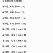 胎儿crl是什么意思（胎儿CRL是什么意思呢）