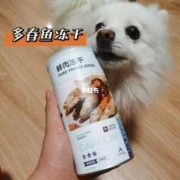 孕期吃鱼籽（狗狗能吃鱼籽吗）