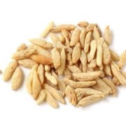 麦冬孕期（麦冬孕期）