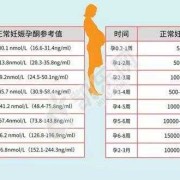mlu换算成ng怎么换,整个孕期hcg变化曲线图