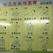 5个月宝宝抬头能多久,孕期五个月宝宝发育标准图片