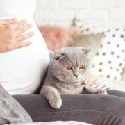 怀孕期间可以养猫和狗吗,怀孕期间养猫对胎儿有影响吗